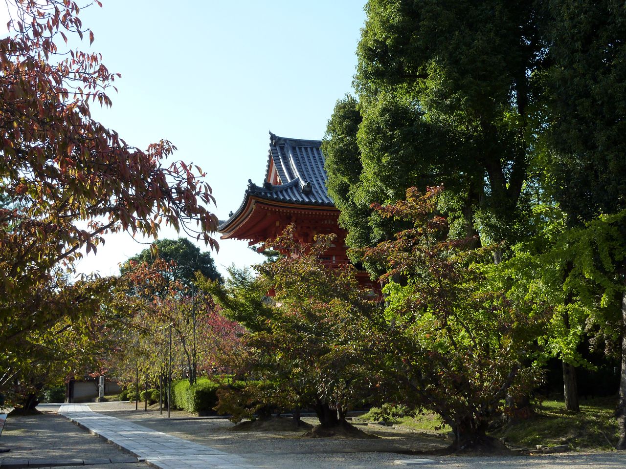 P1020579