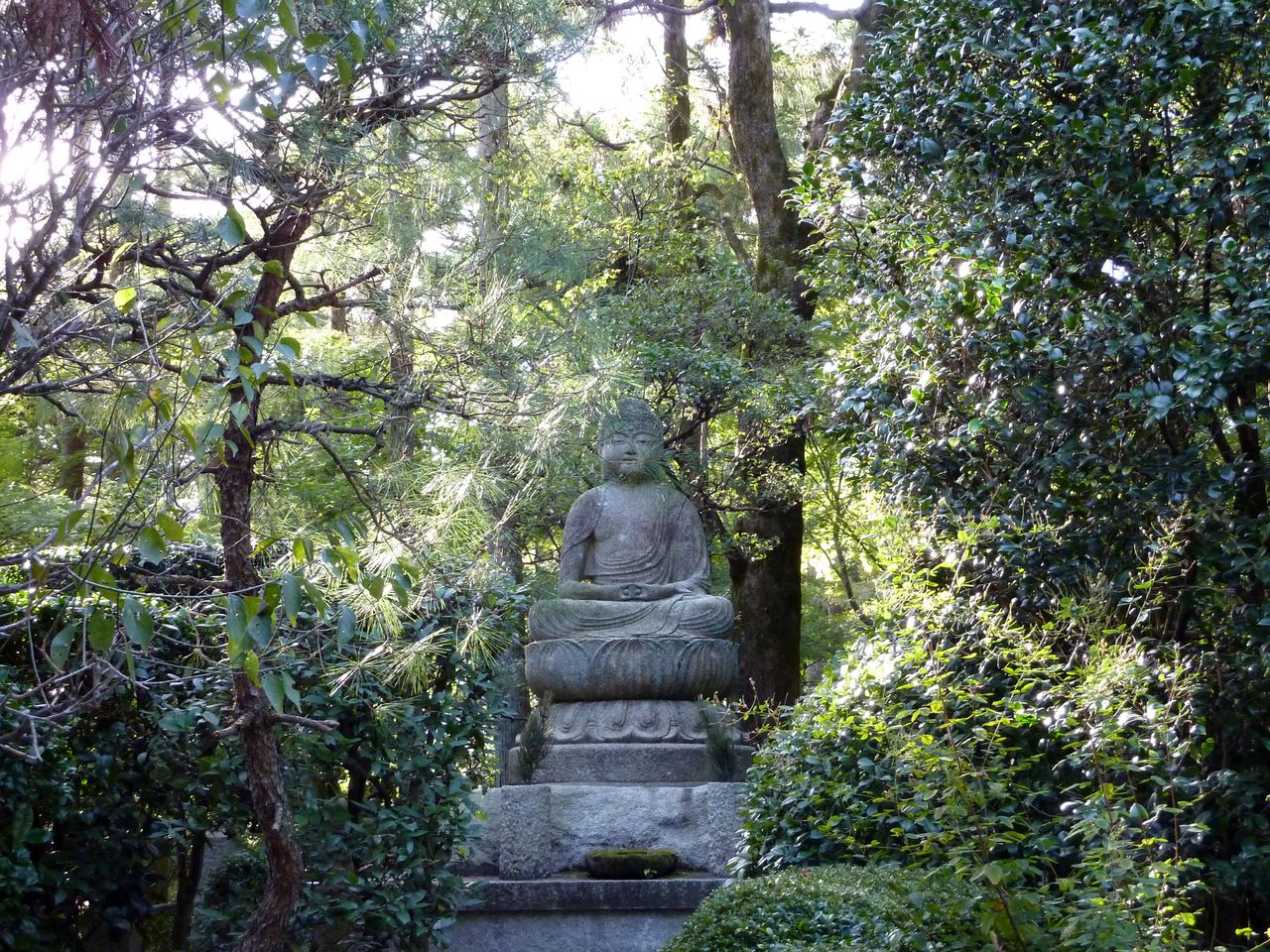 P1020591