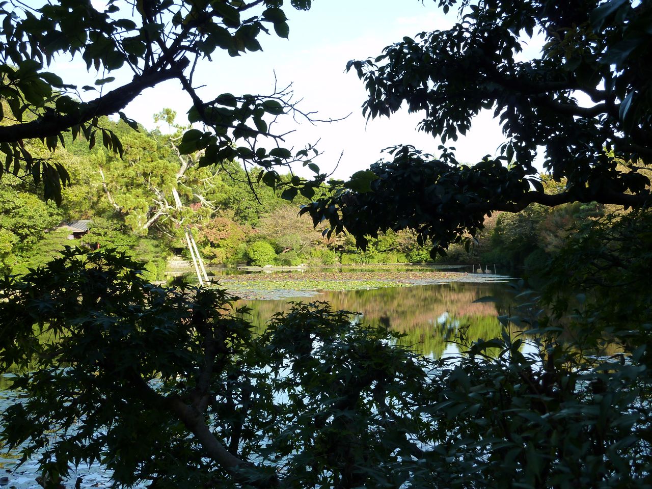 P1020649