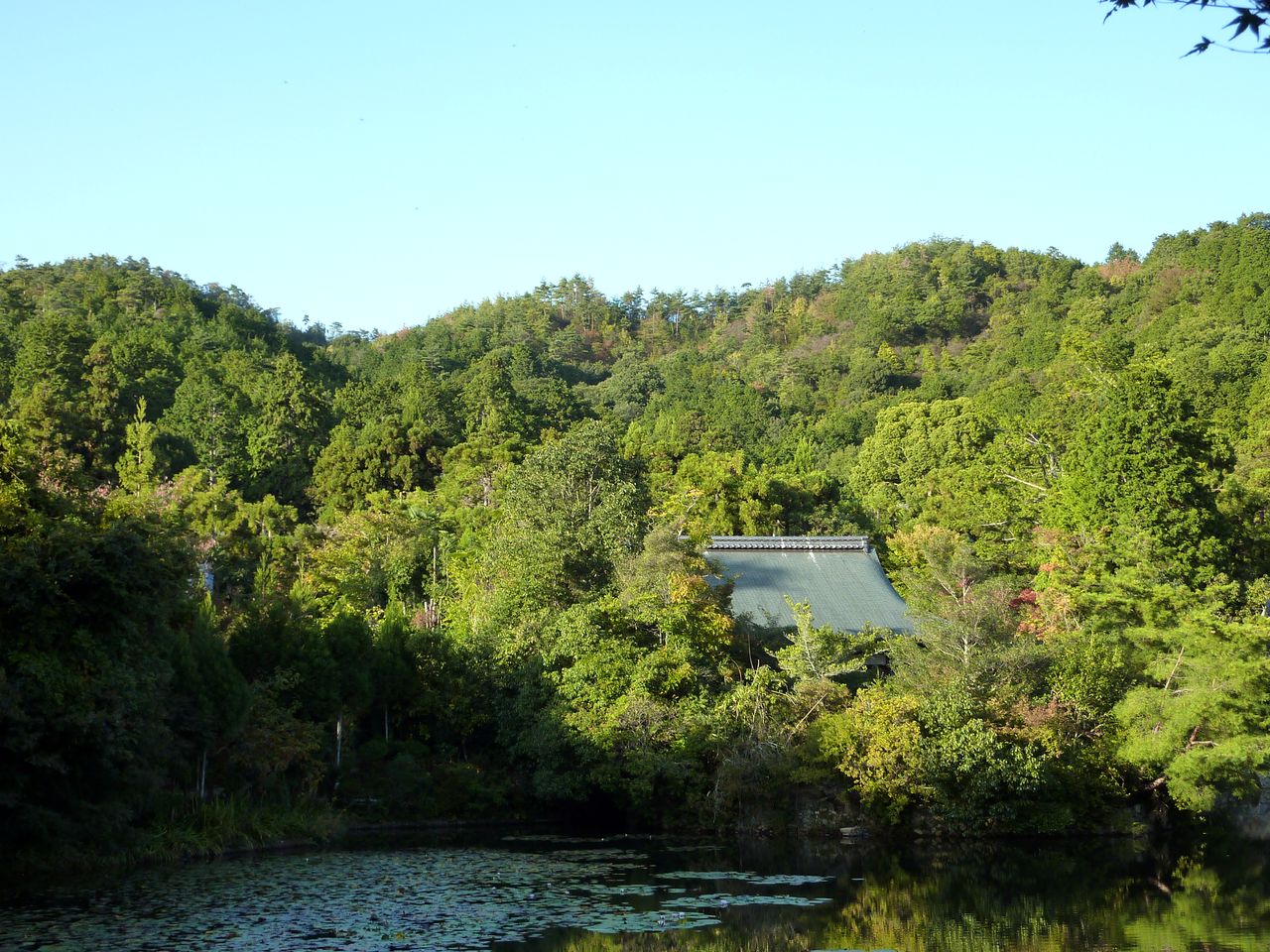 P1020670