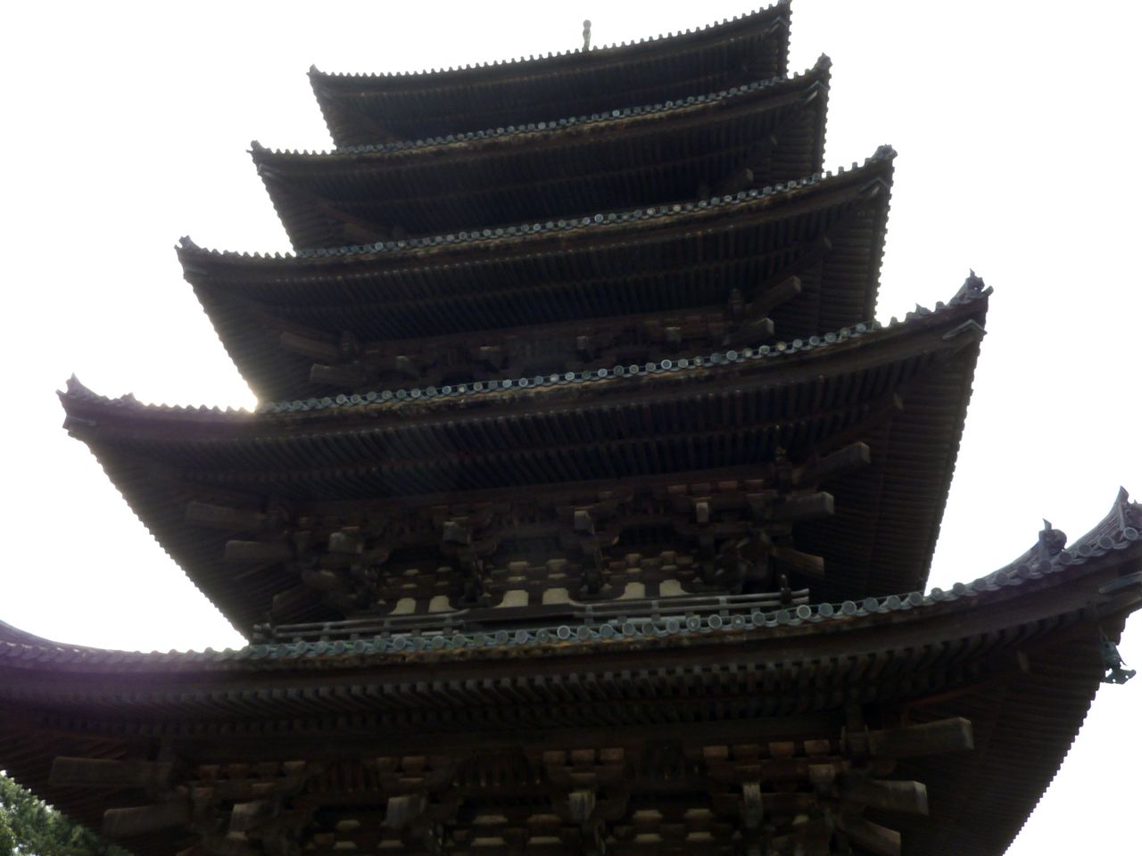 P1020841