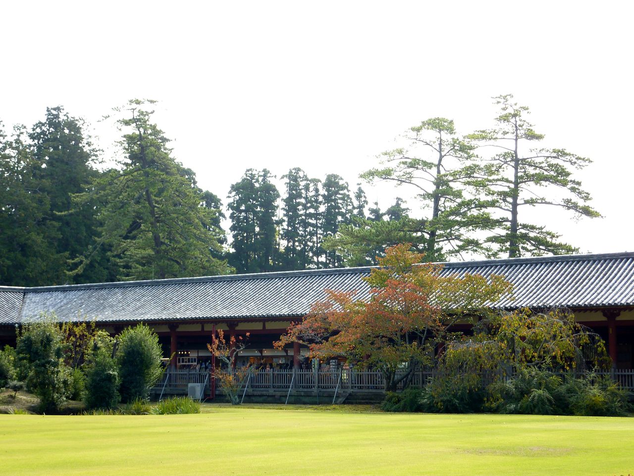 P1020913