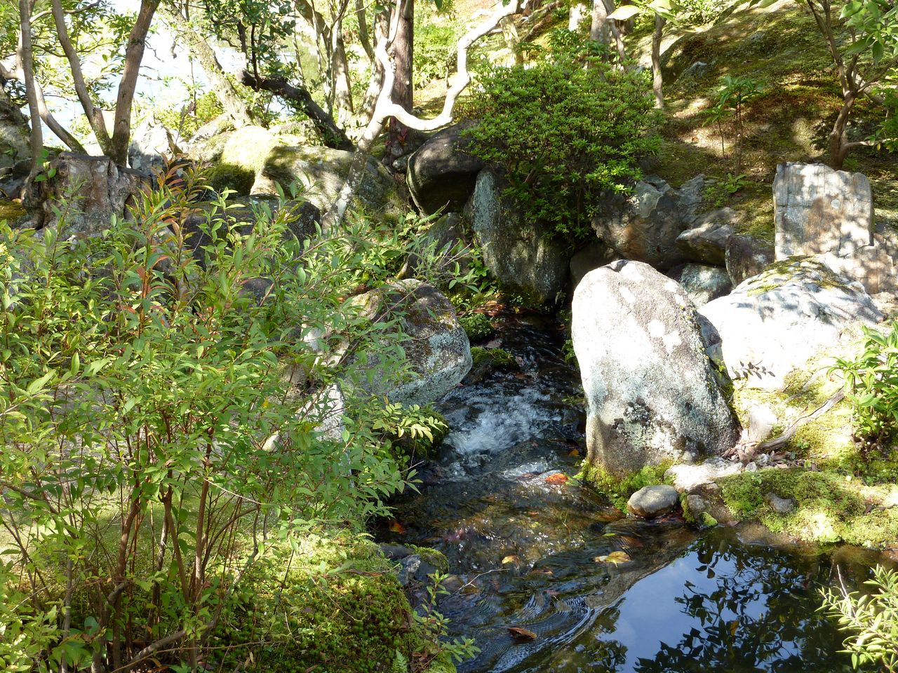 P1020940