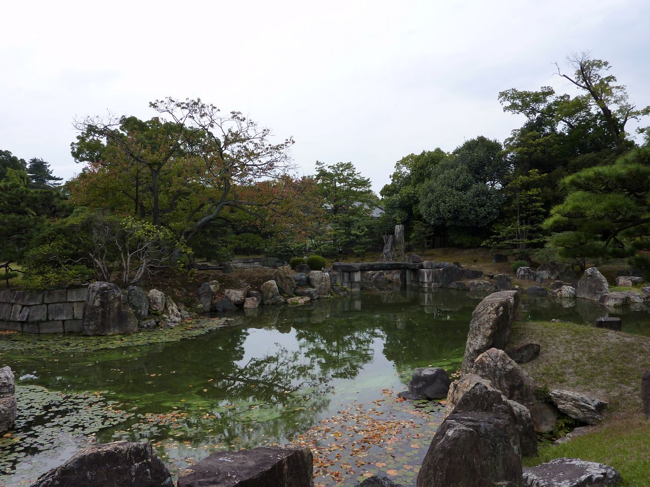 P1030568