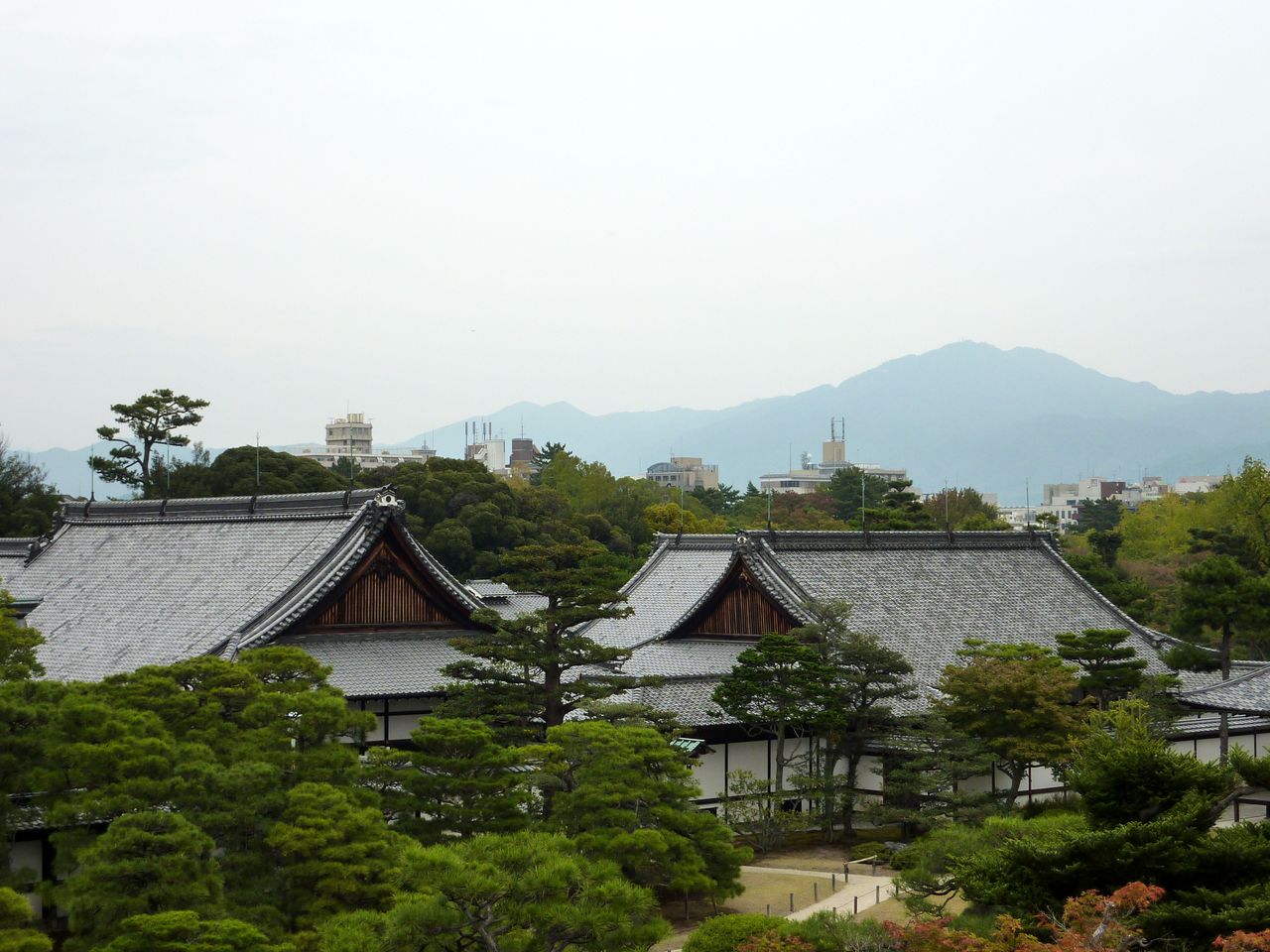P1030580
