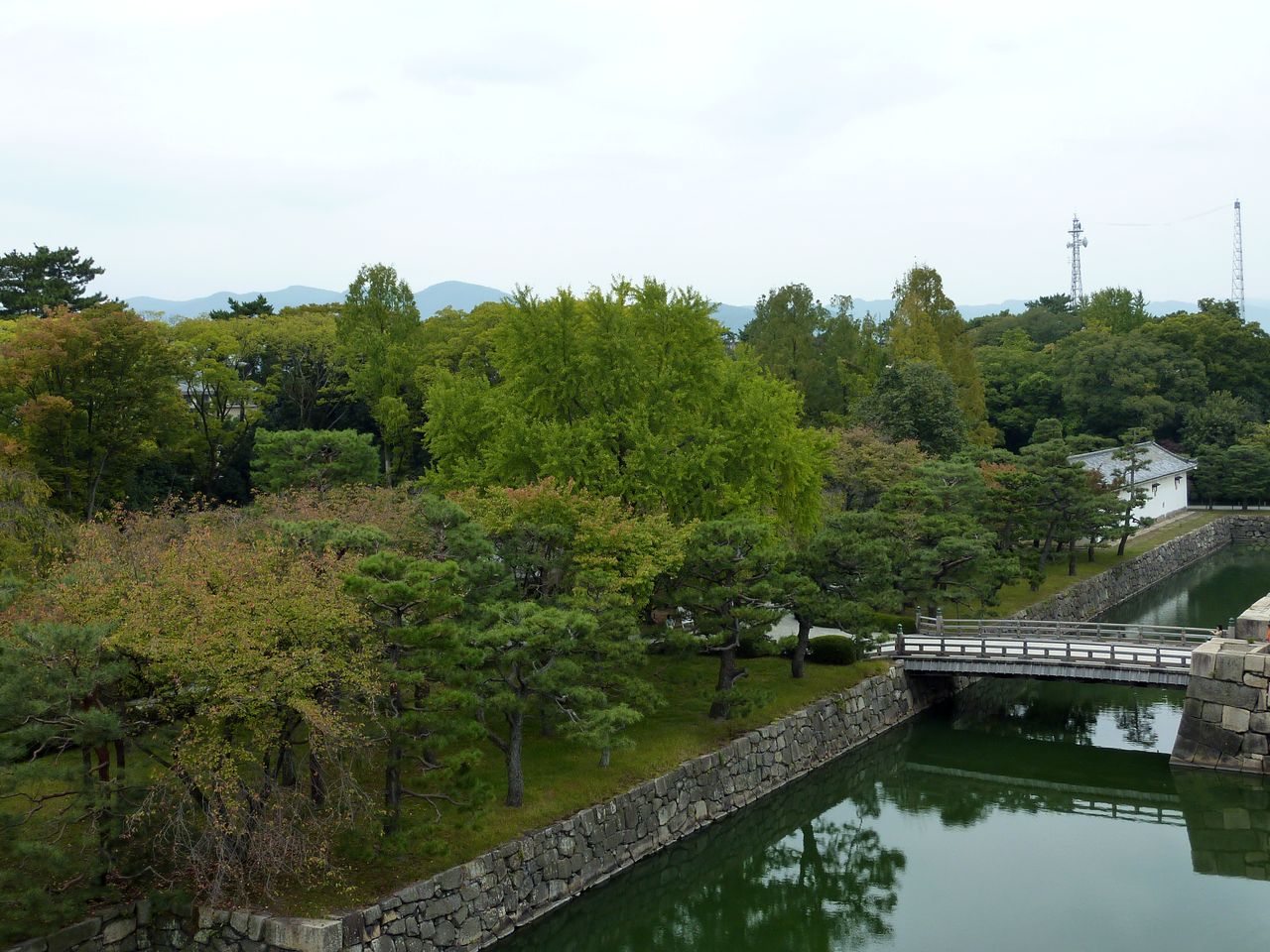 P1030583