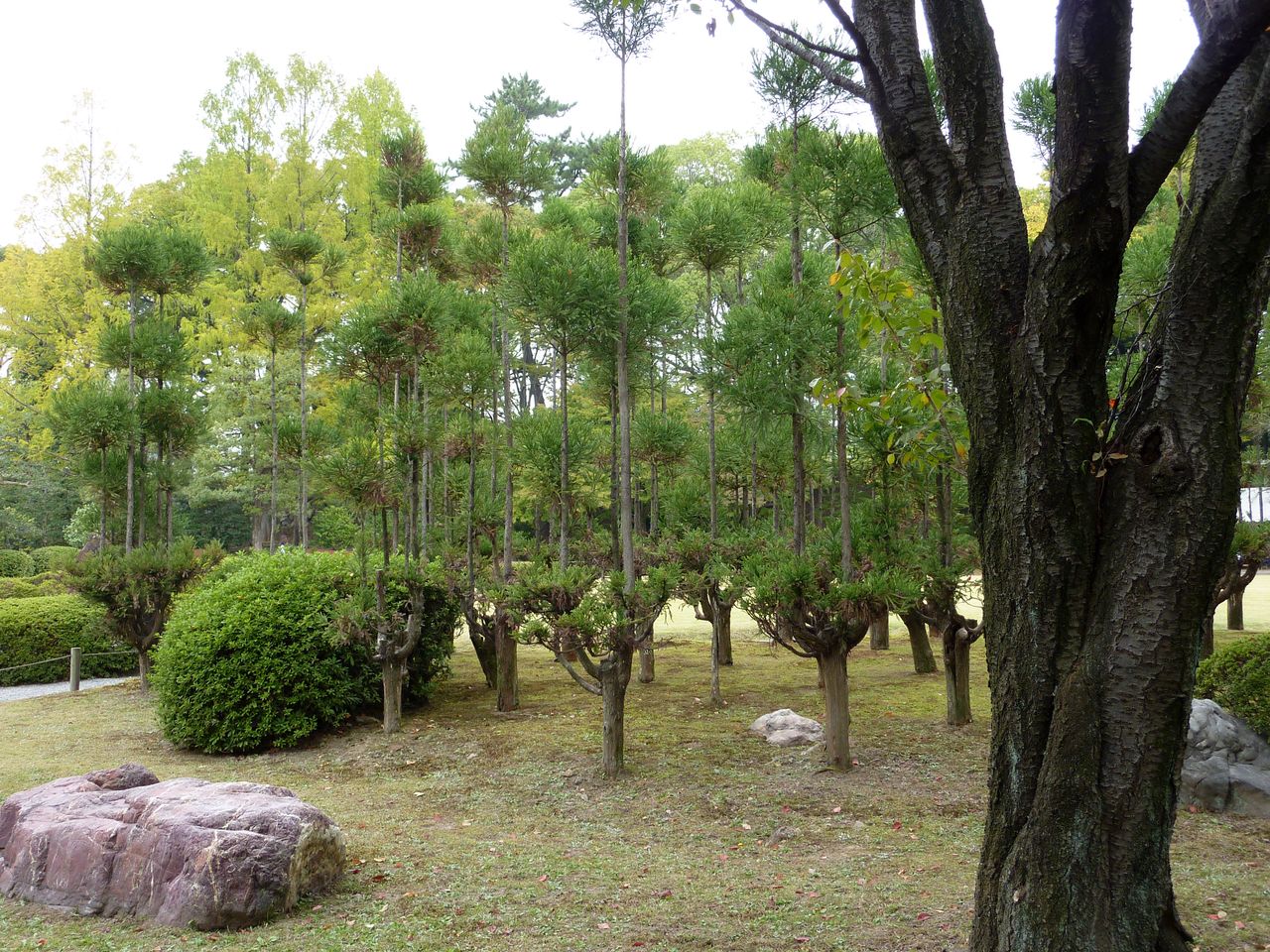 P1030585