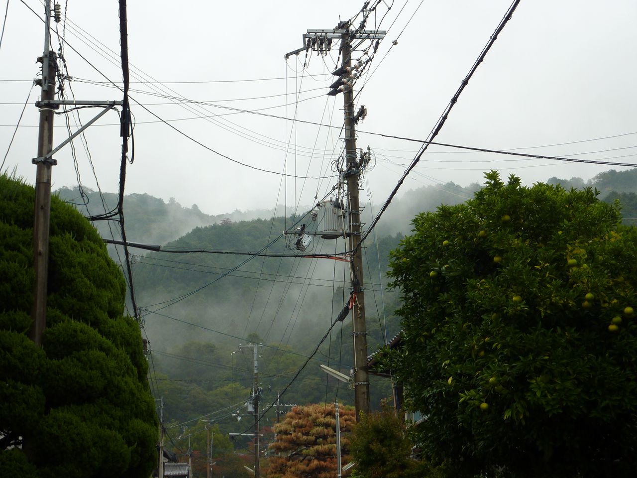 P1030599