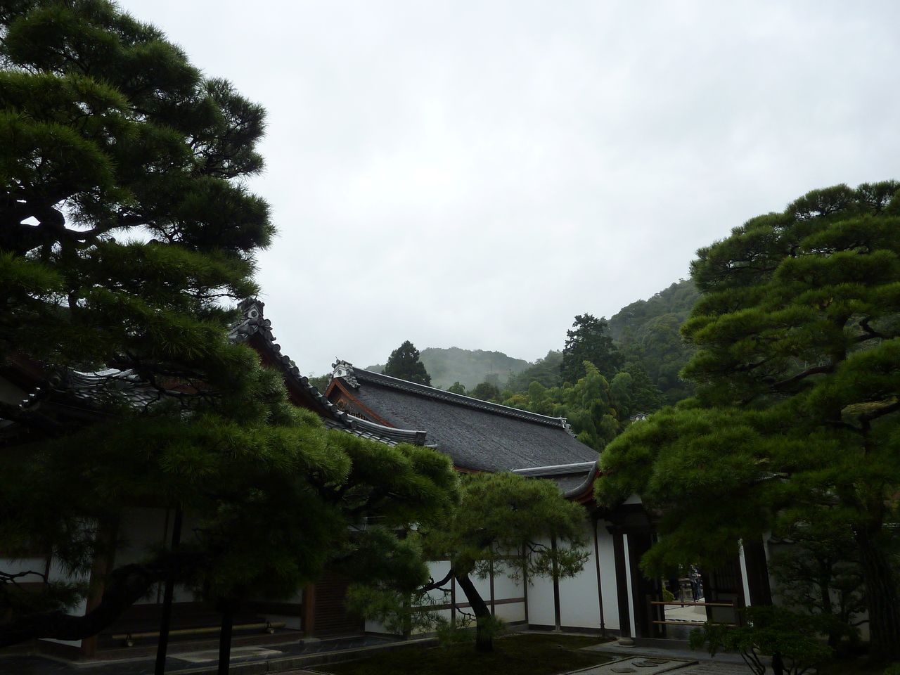 P1030614