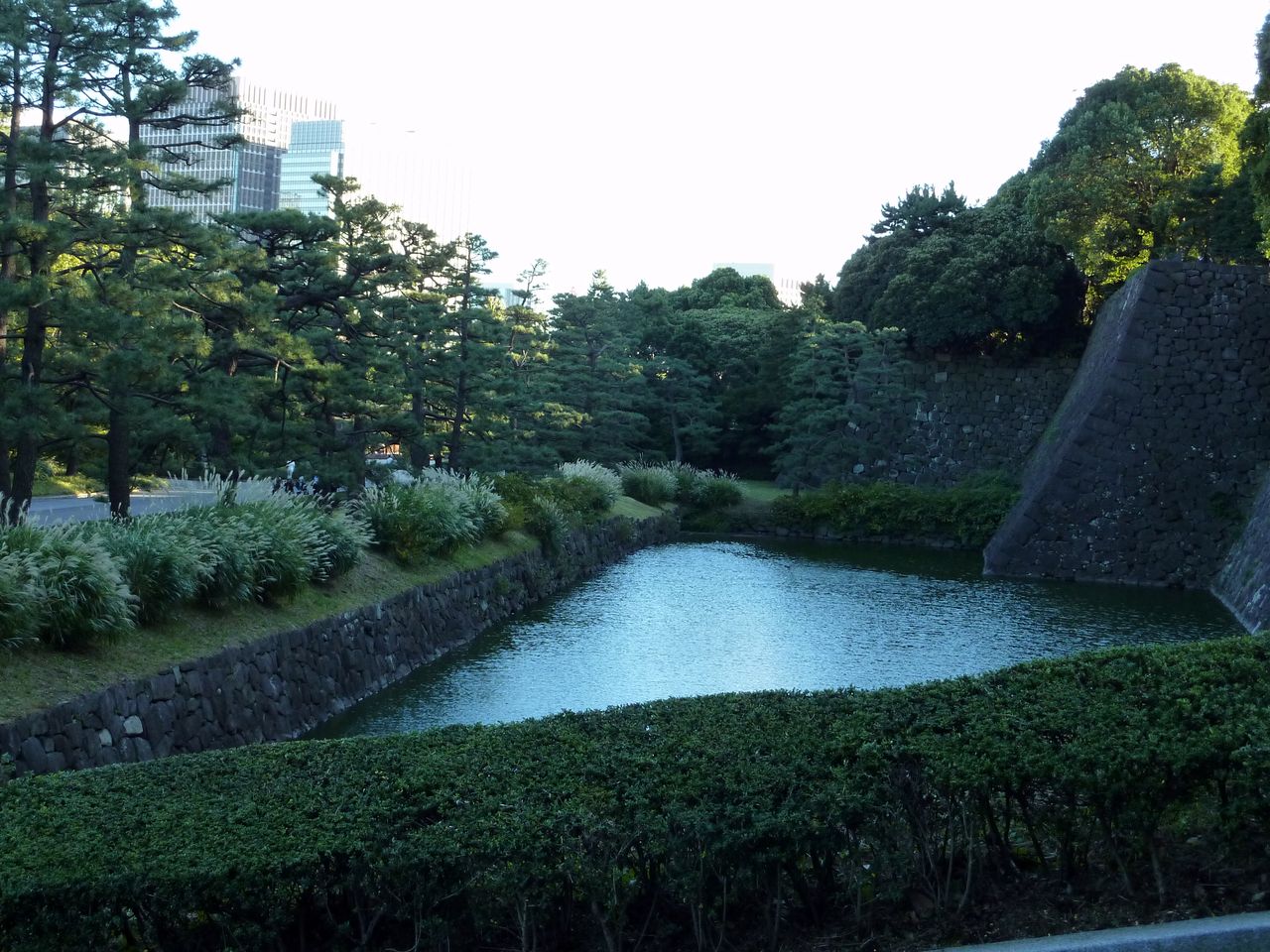 P1030733