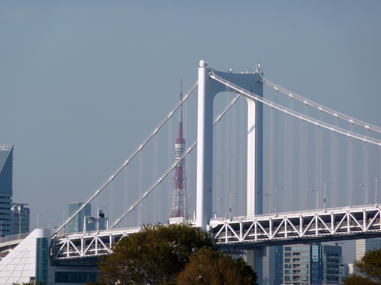 P1030841