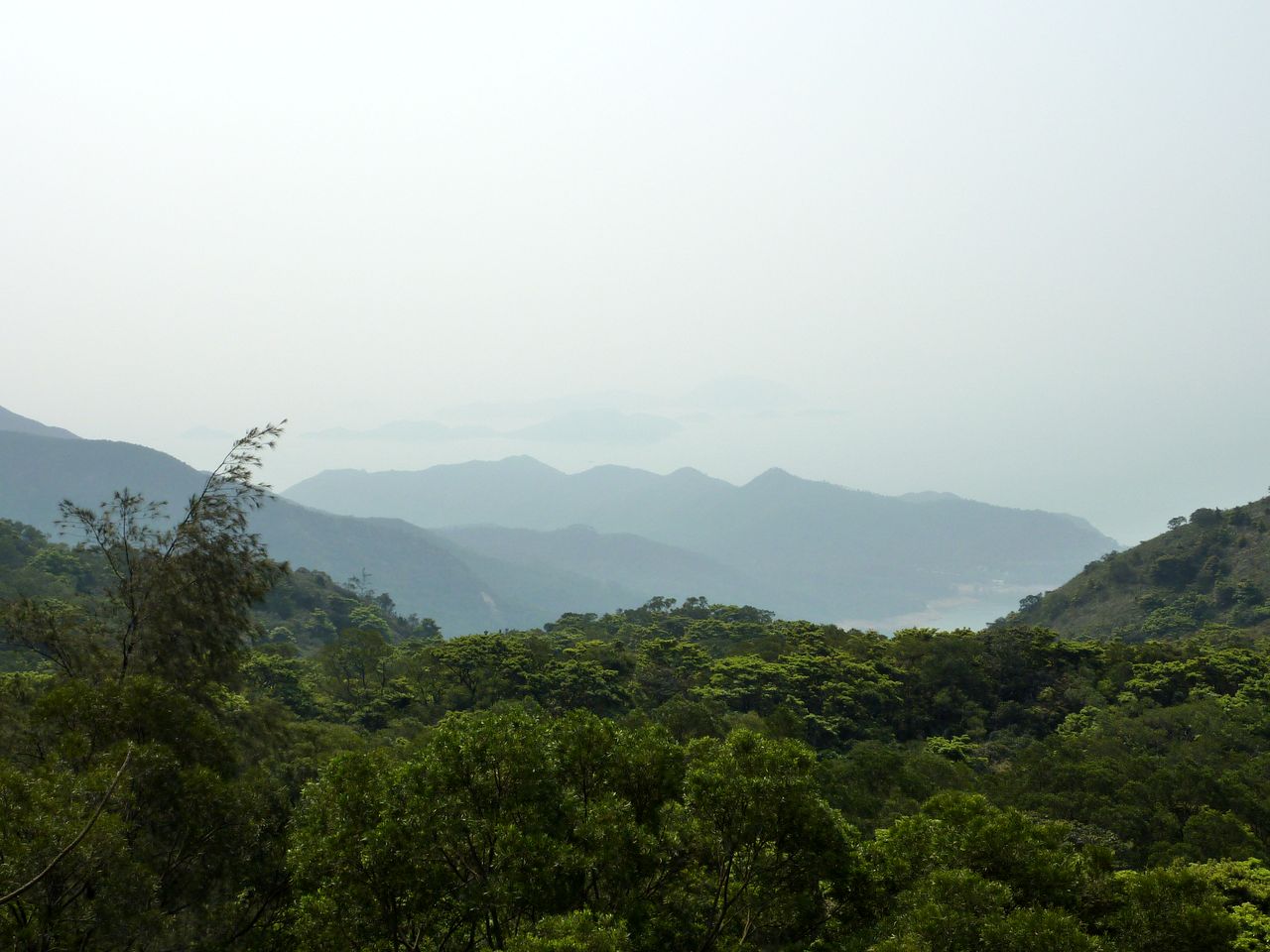 P1040021
