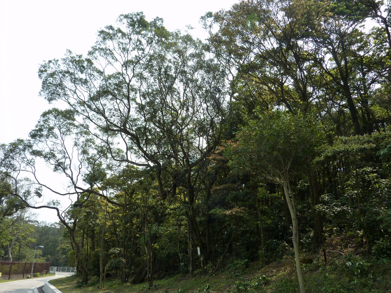 P1040040