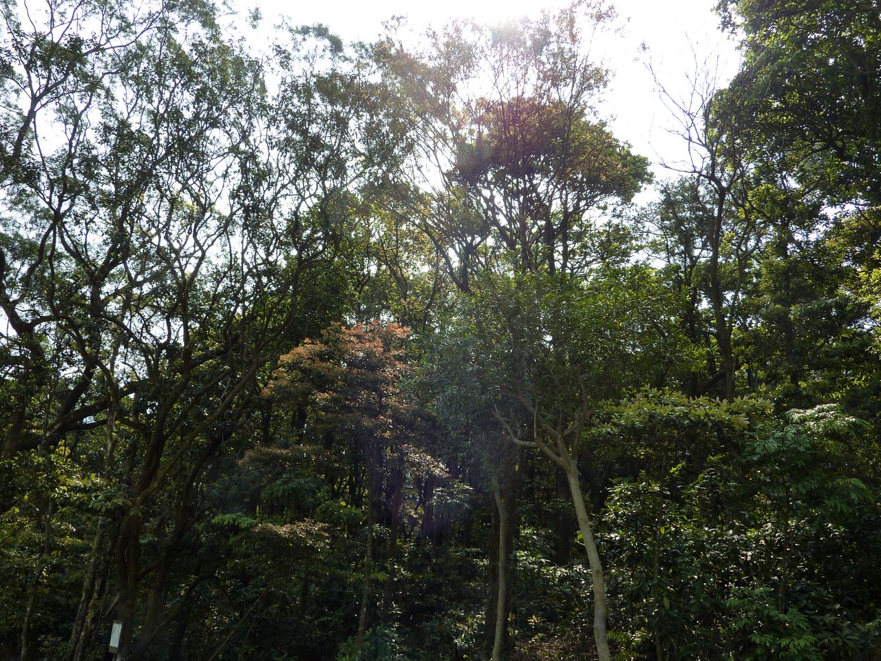 P1040043