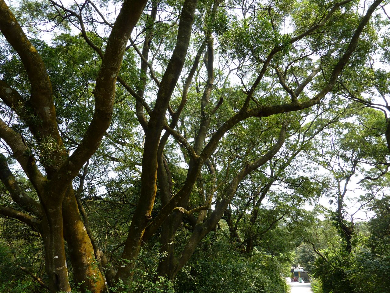 P1040052