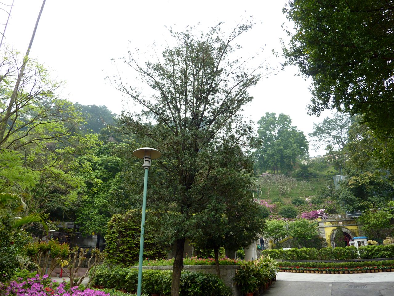 P1040176