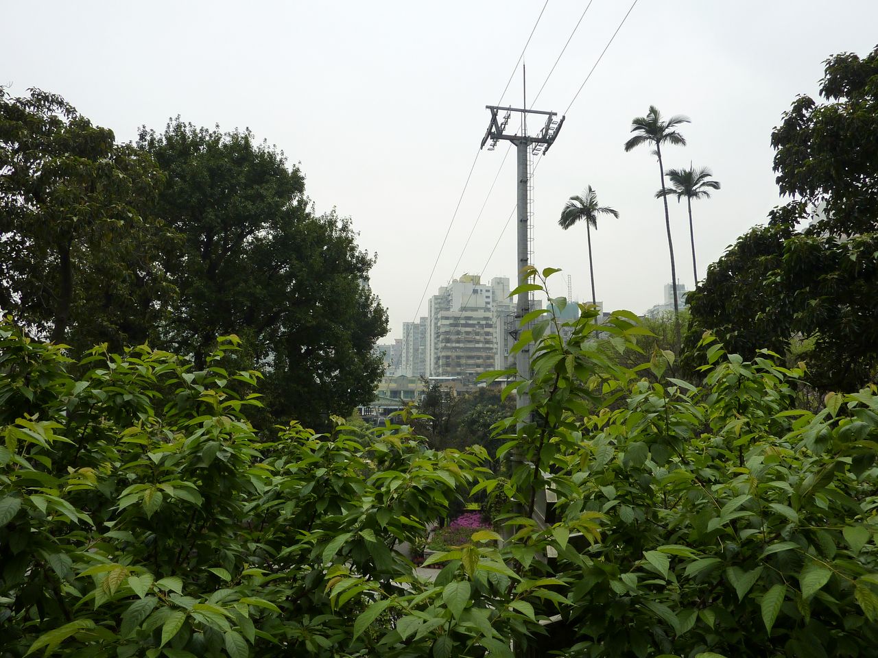 P1040180