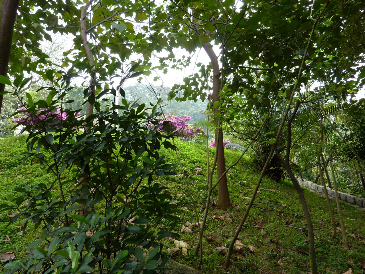 P1040184