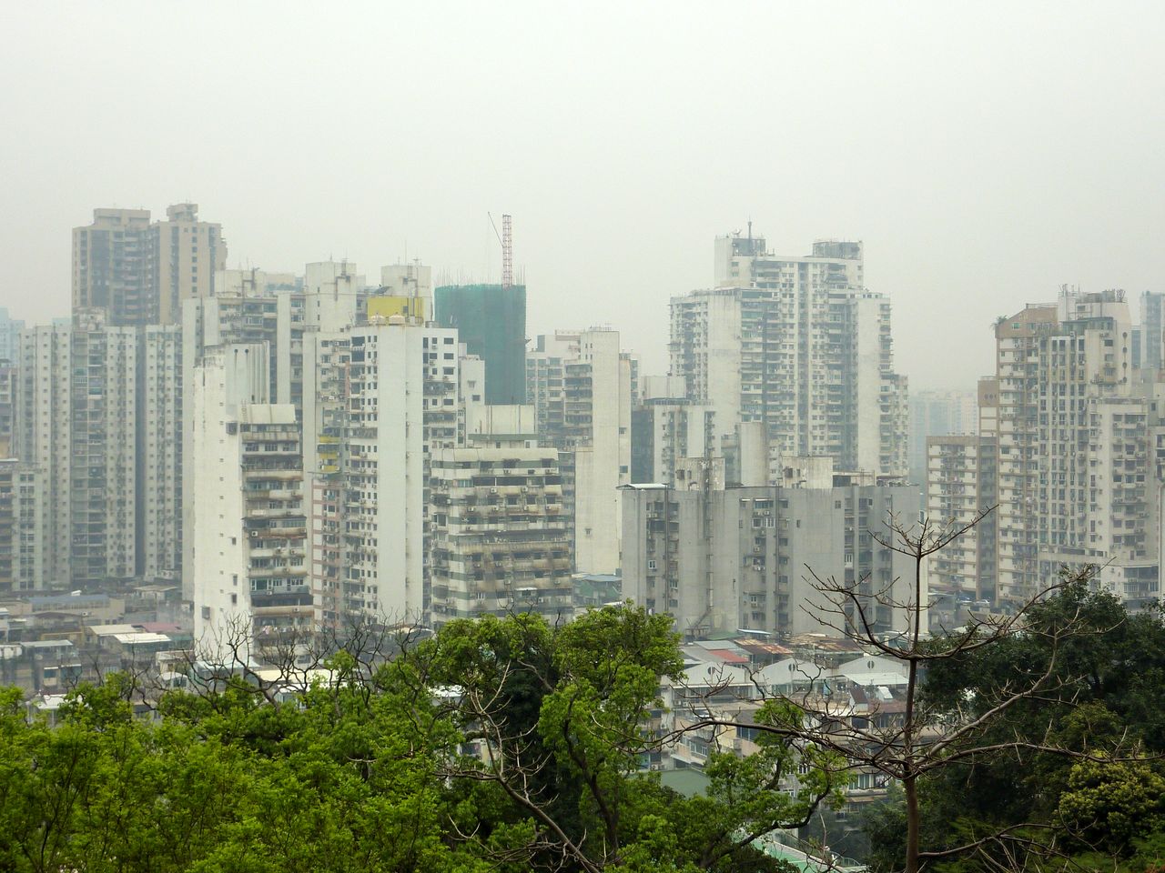 P1040186