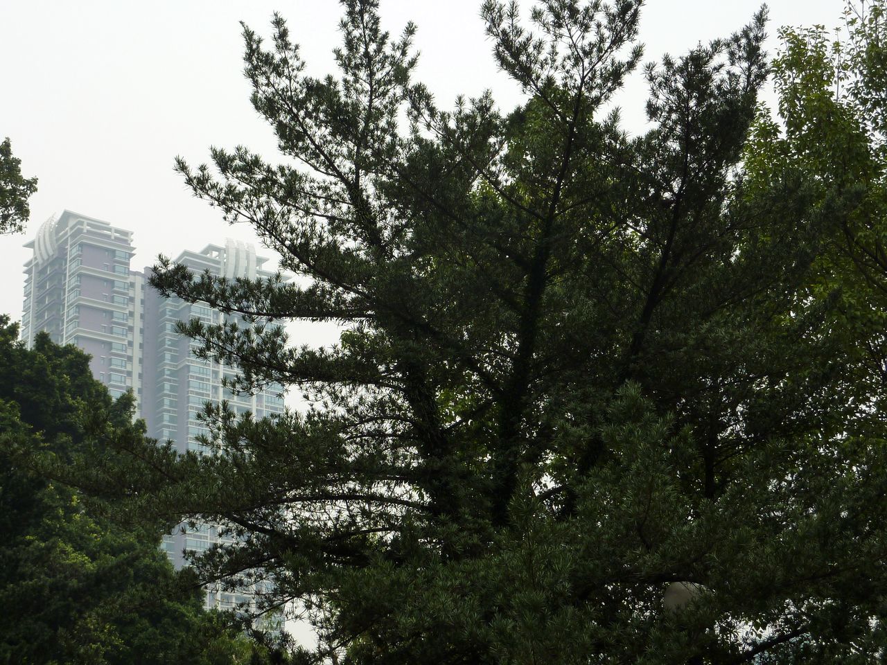 P1040214