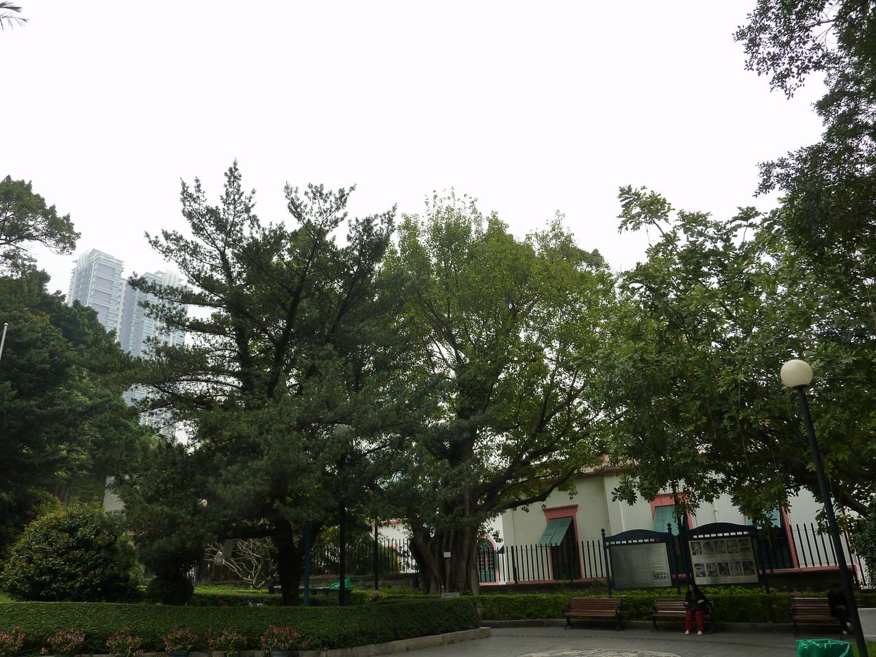 P1040217