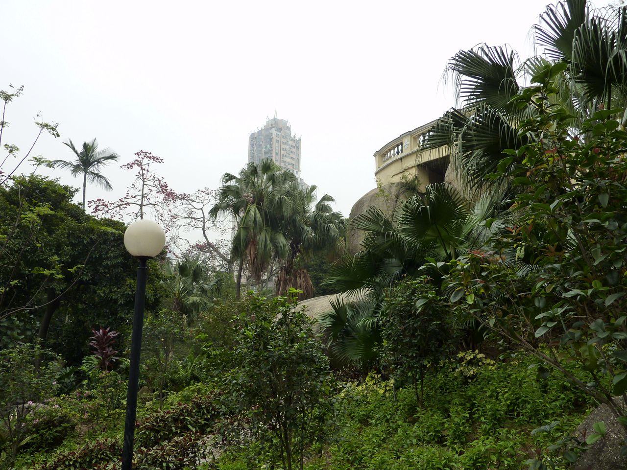 P1040240