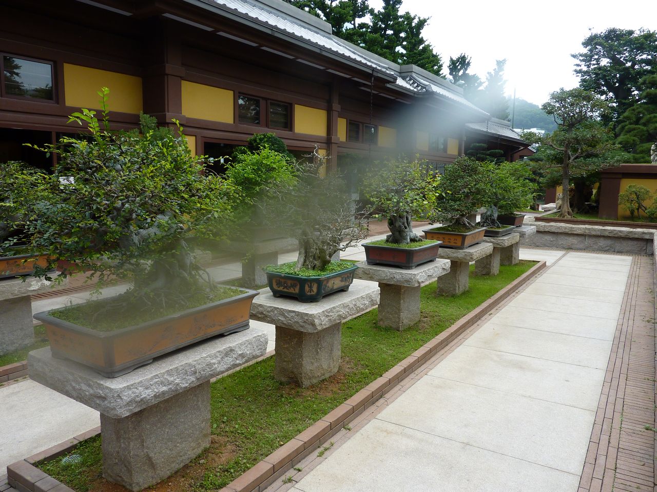 P1040475