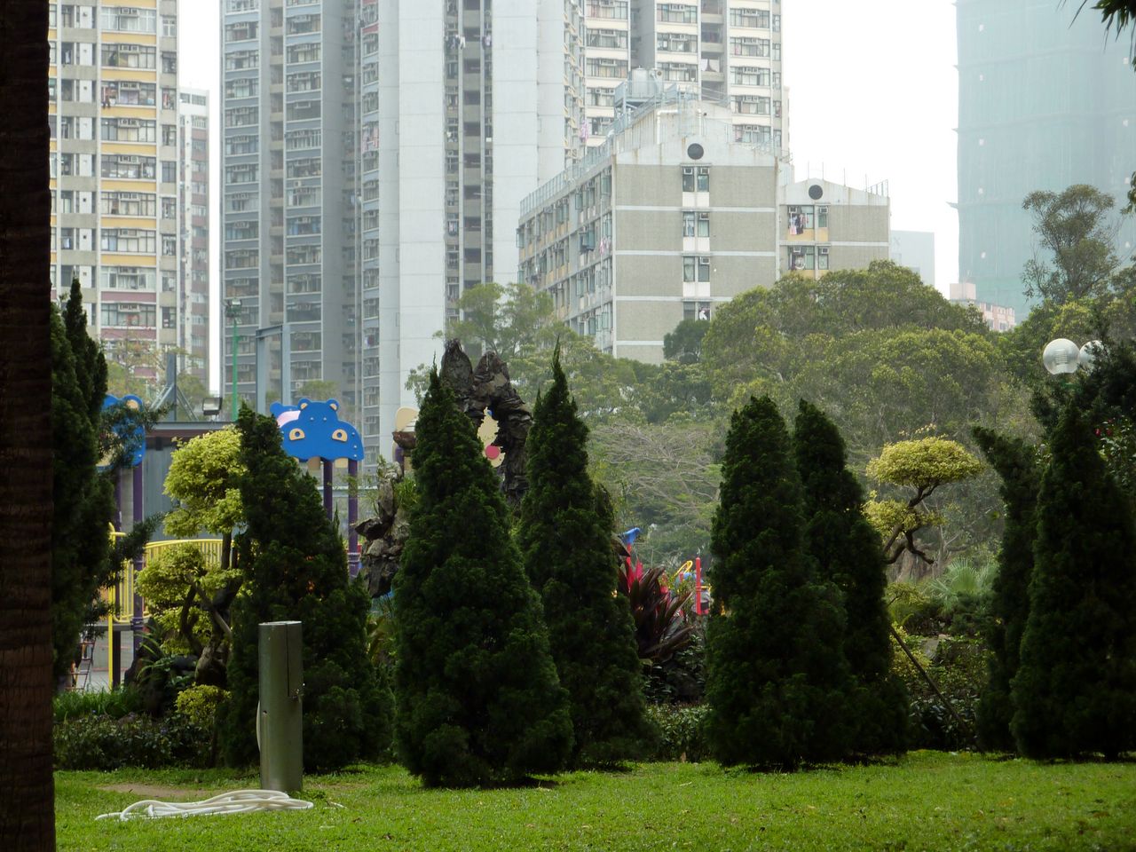 P1040537