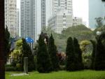 P1040537