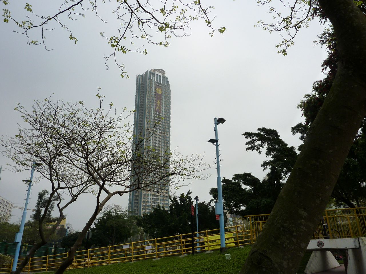 P1040538