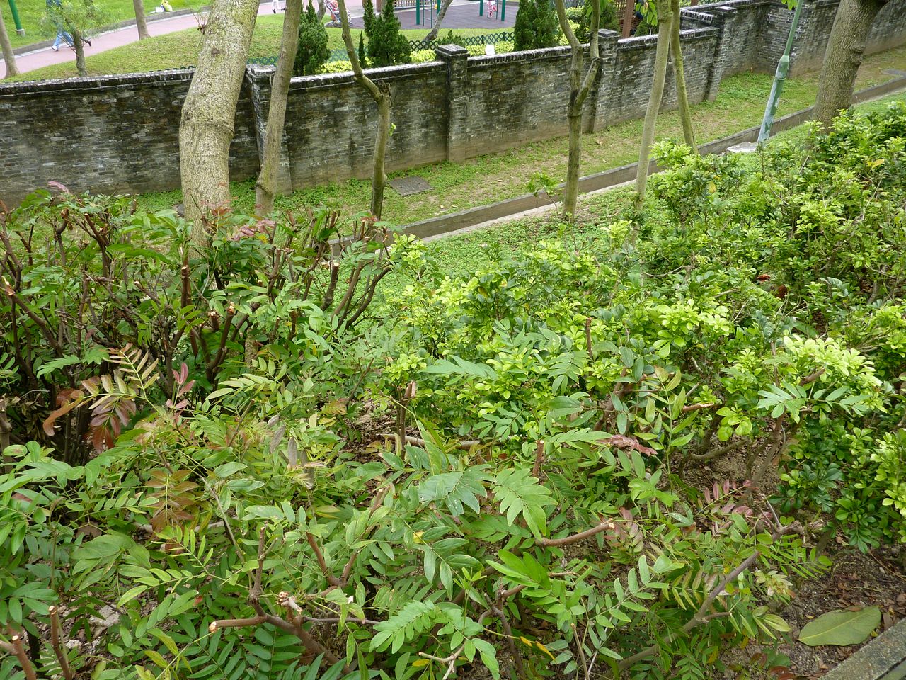 P1040549
