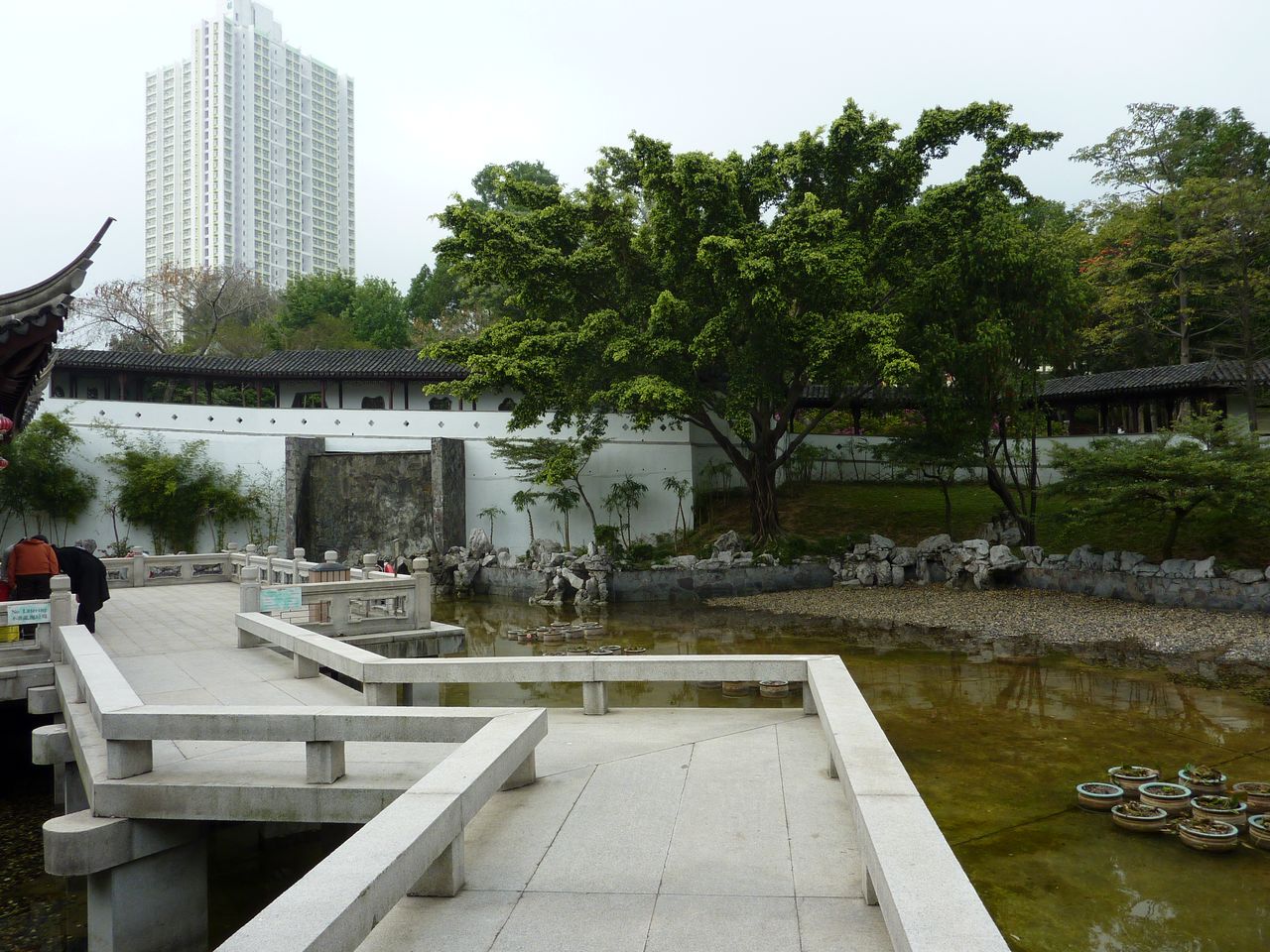 P1040556
