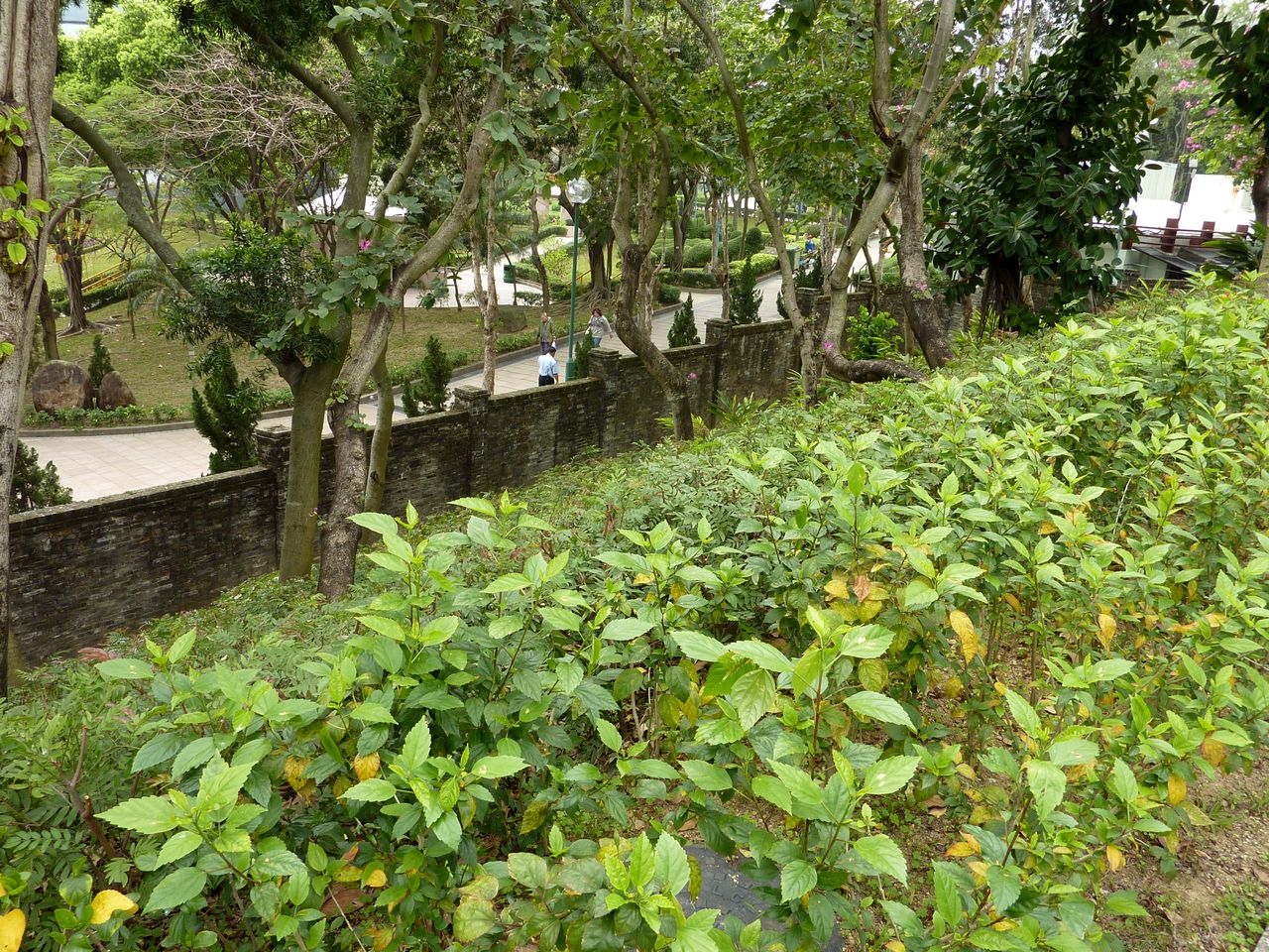 P1040570