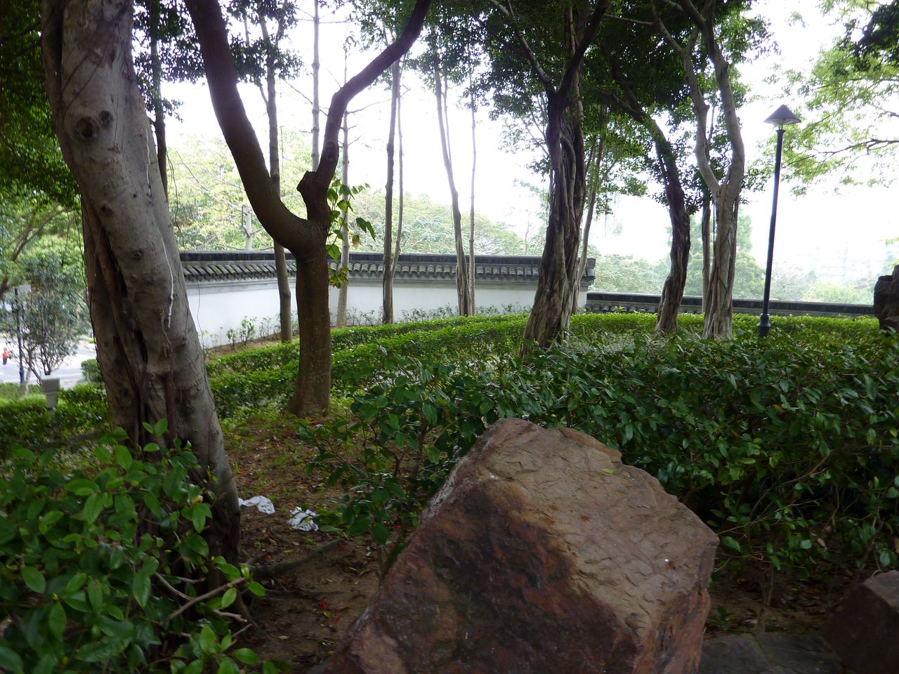 P1040597