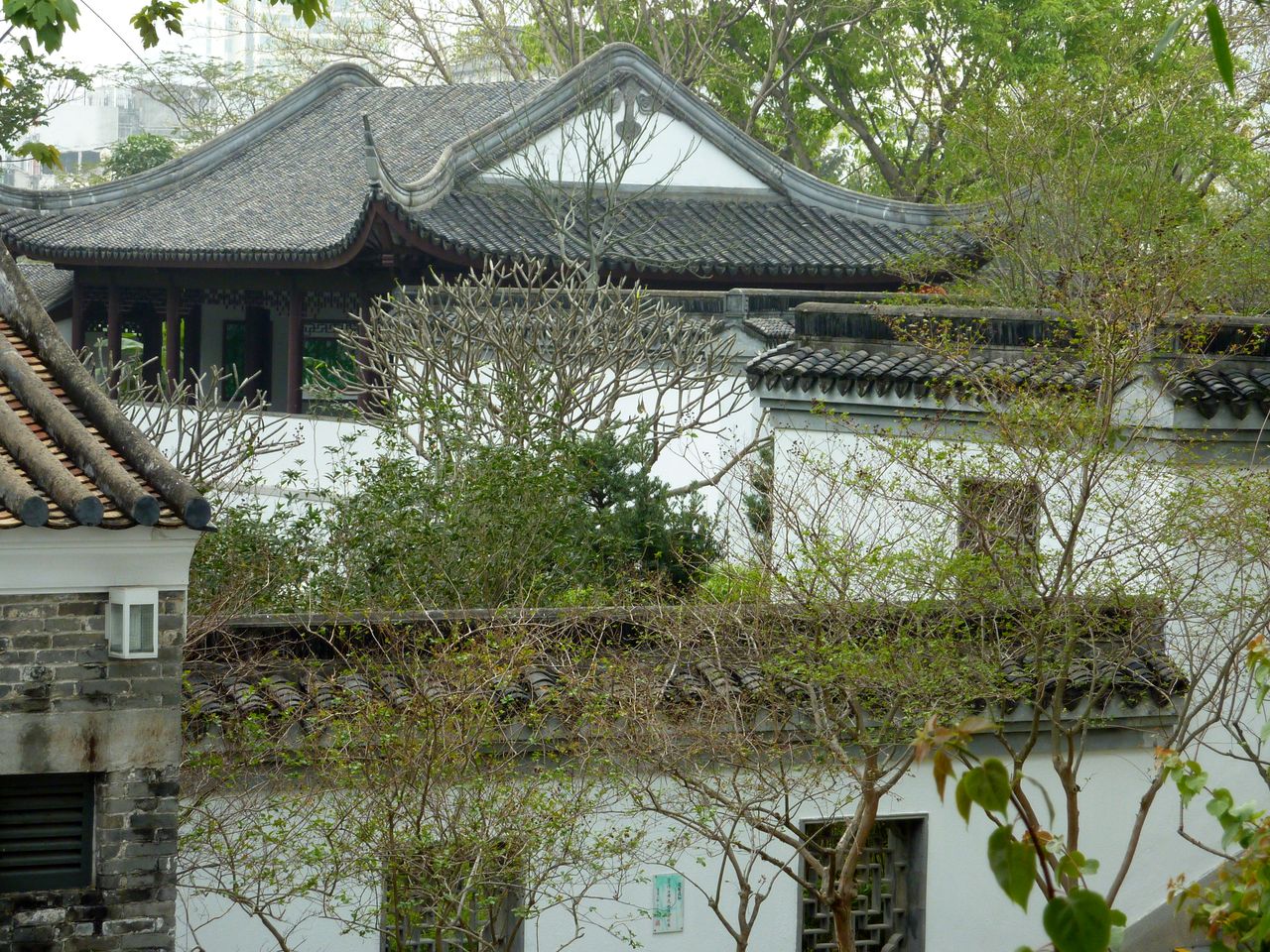 P1040604
