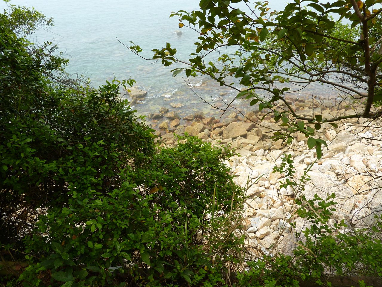 P1040719