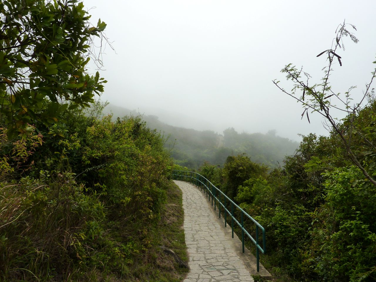P1040725