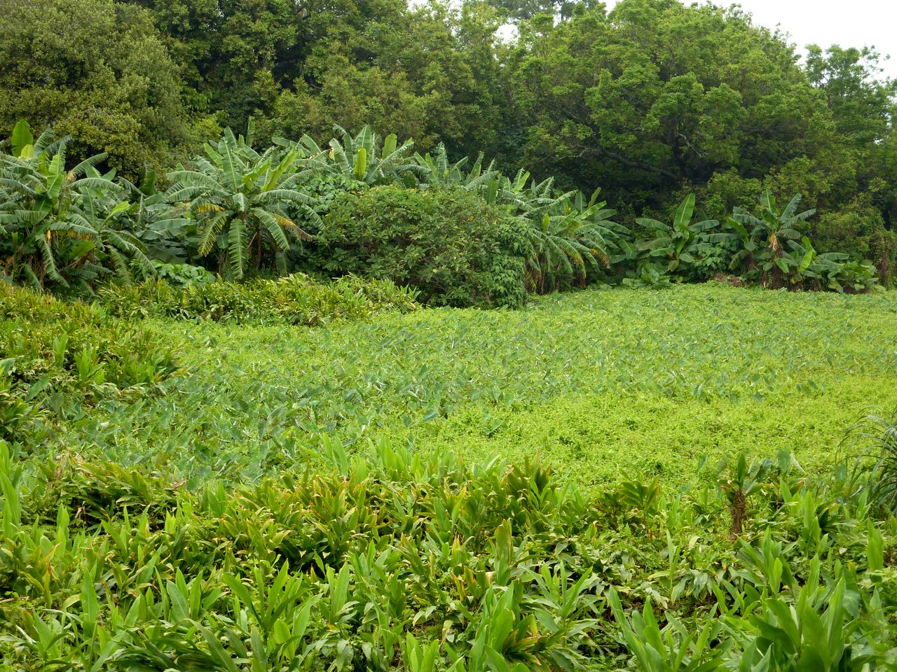 P1040847