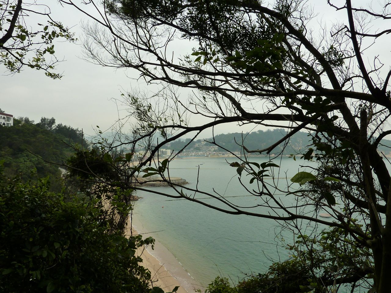 P1050113