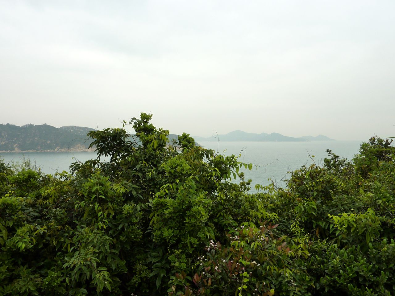 P1050147