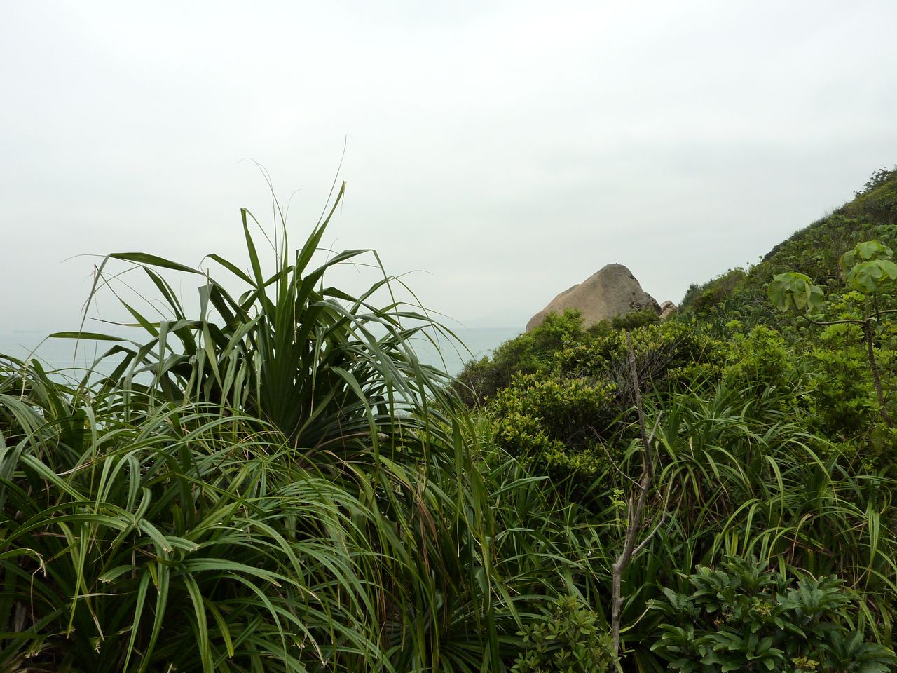 P1050189