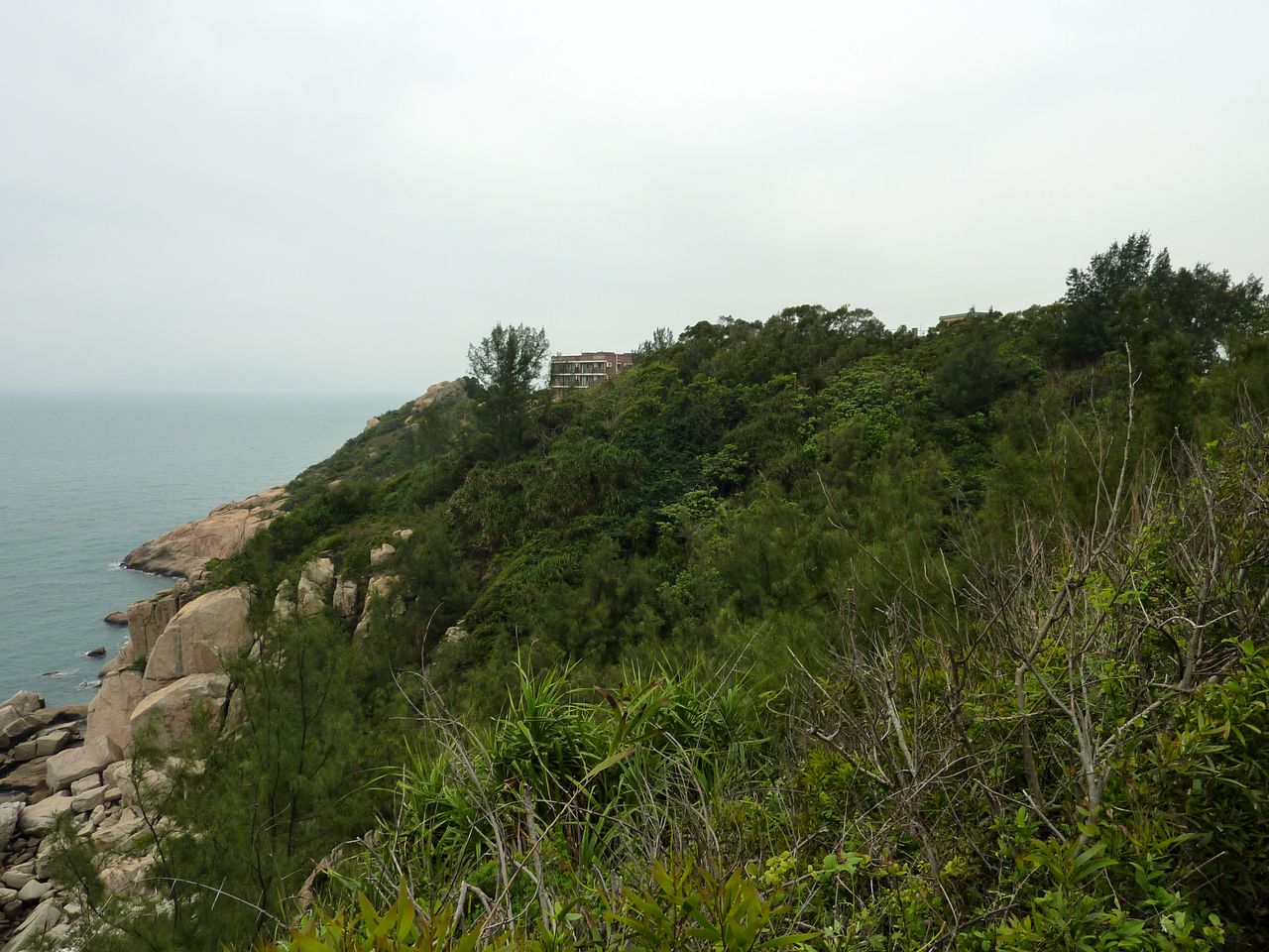 P1050219