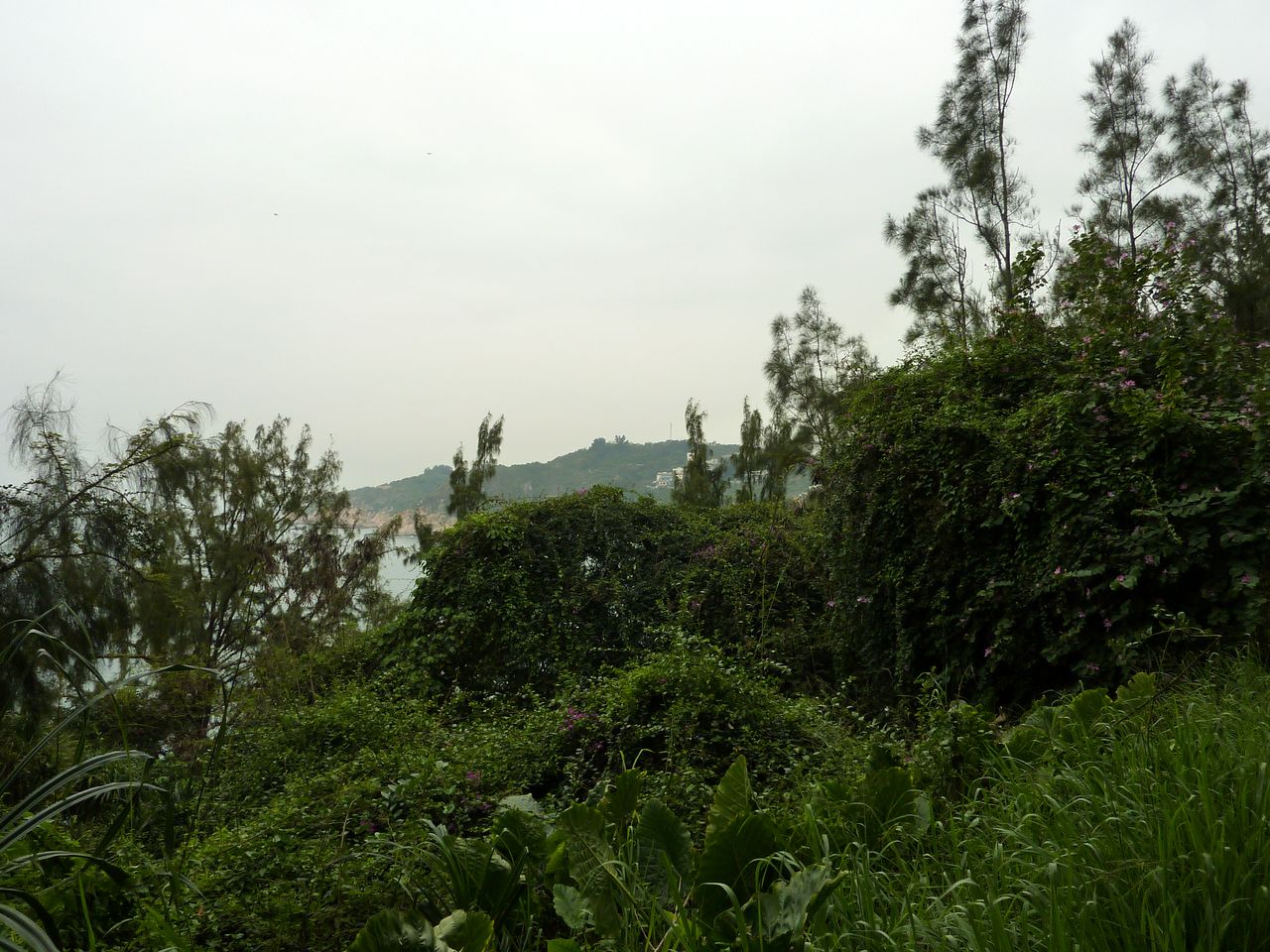 P1050228