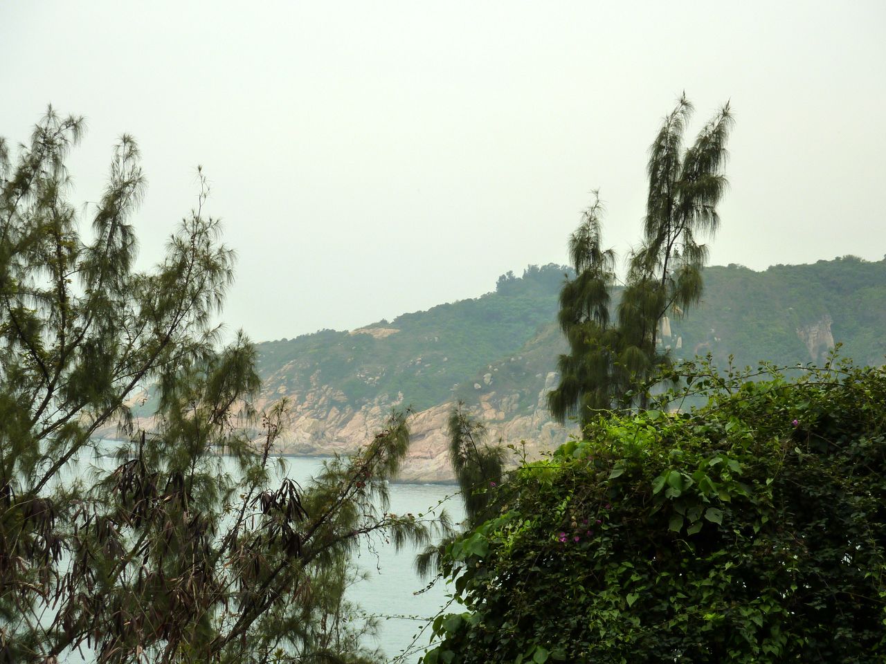 P1050237