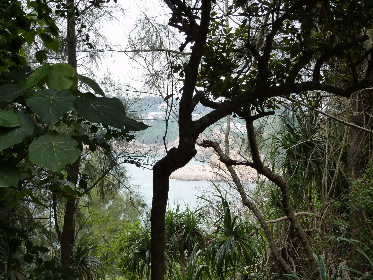P1050247
