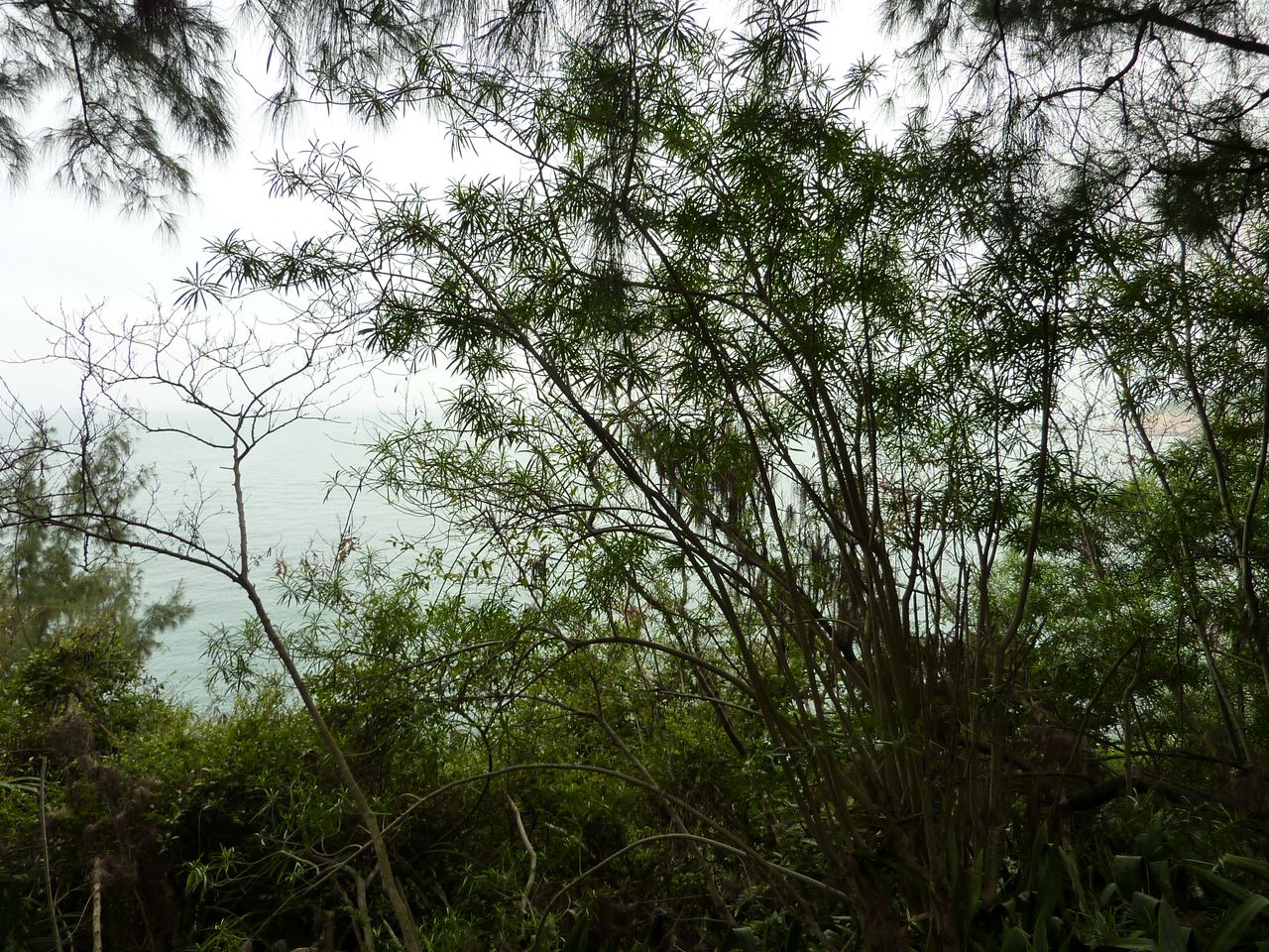 P1050250