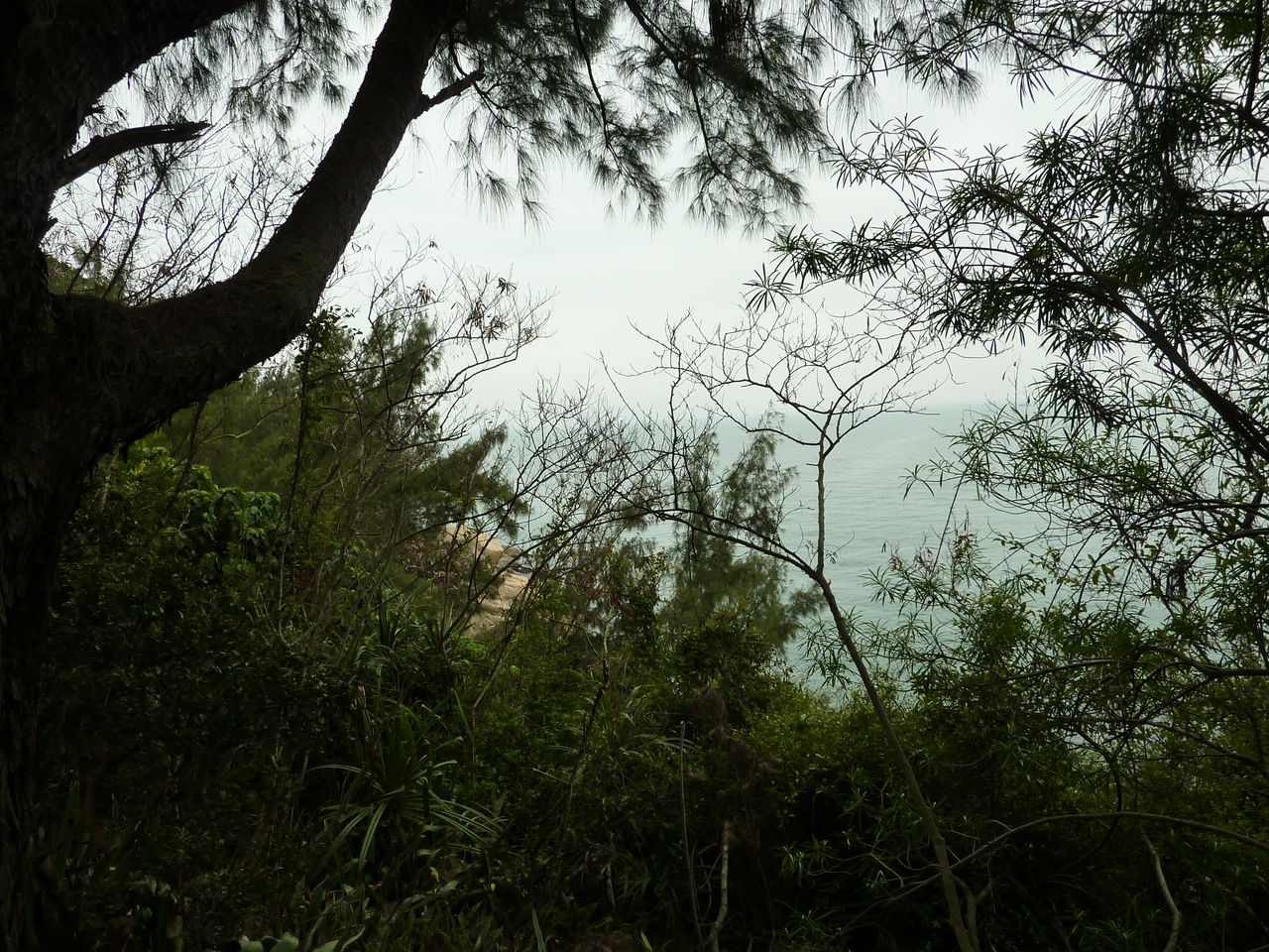 P1050252