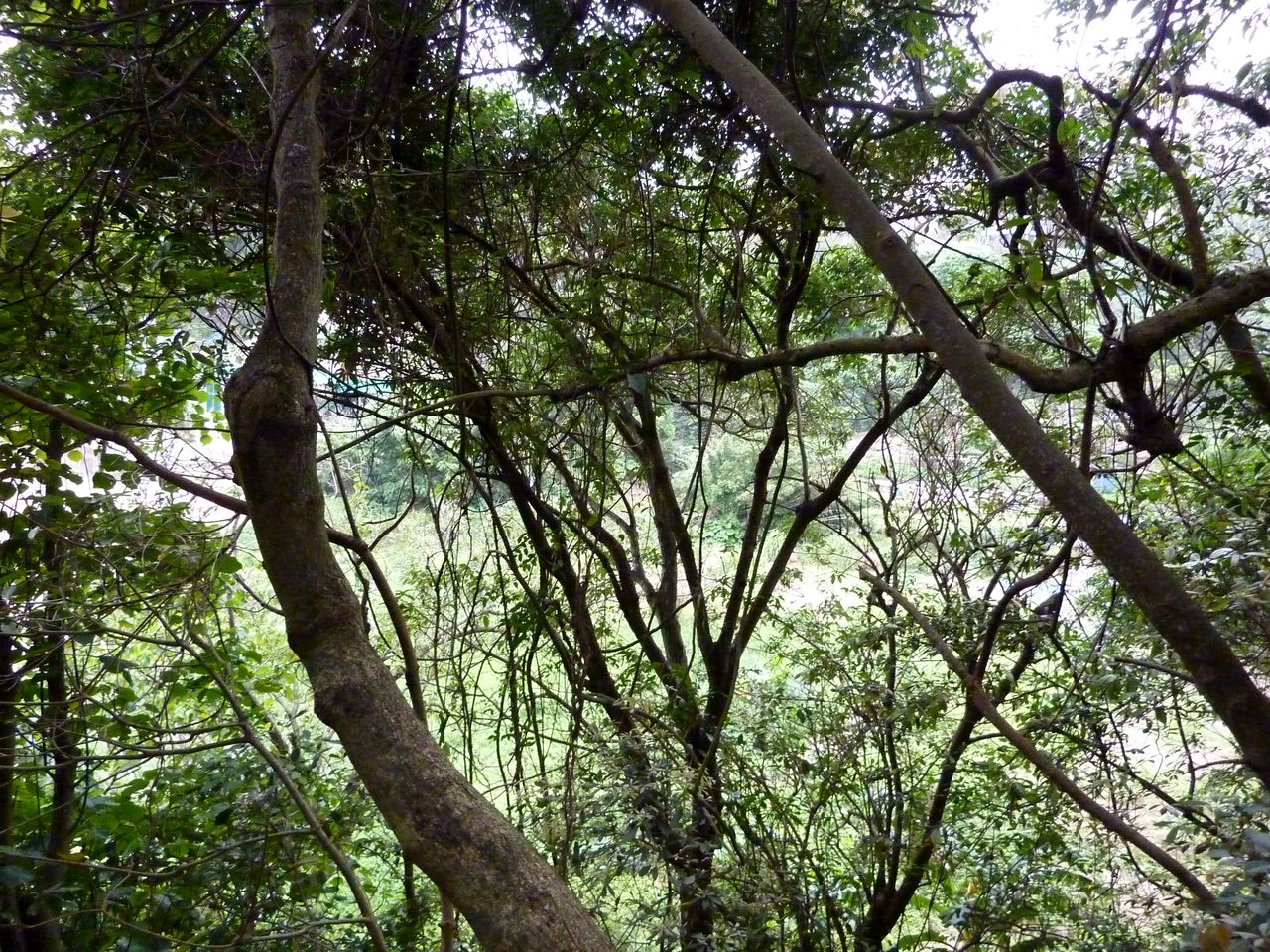 P1050258