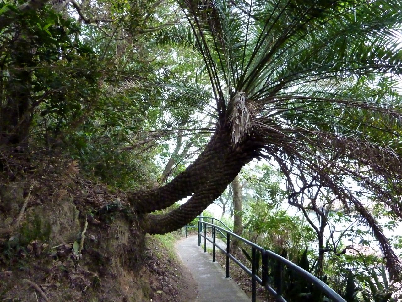 P1050261