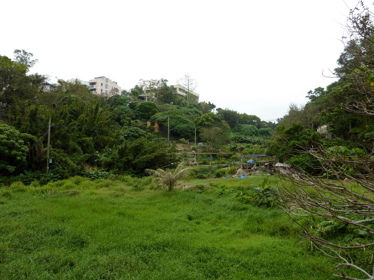 P1050267